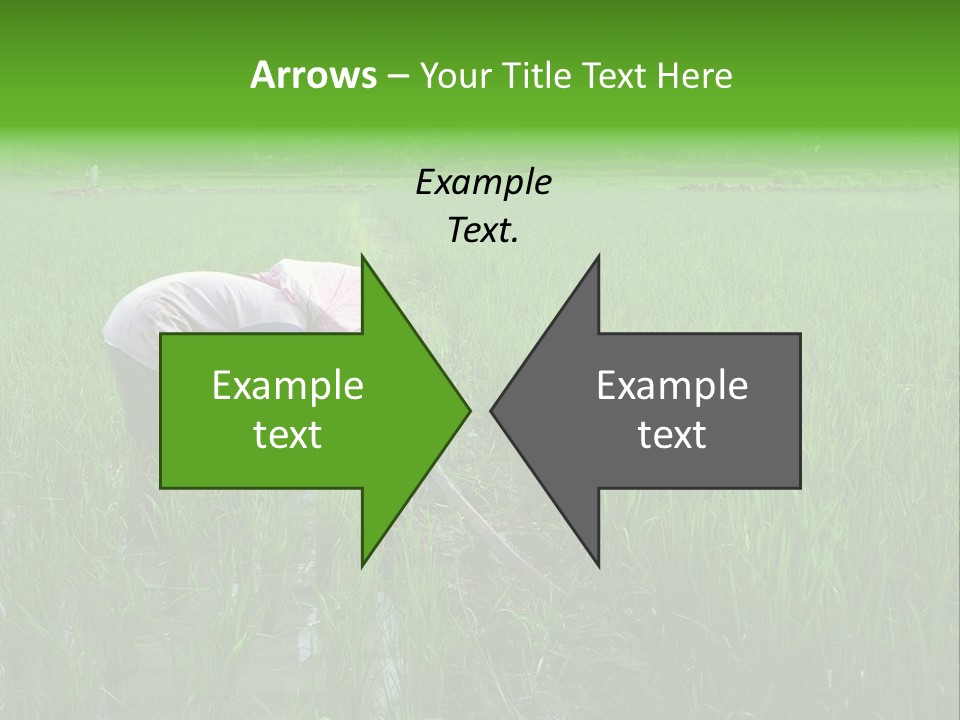 Food Countryside Farmer PowerPoint Template