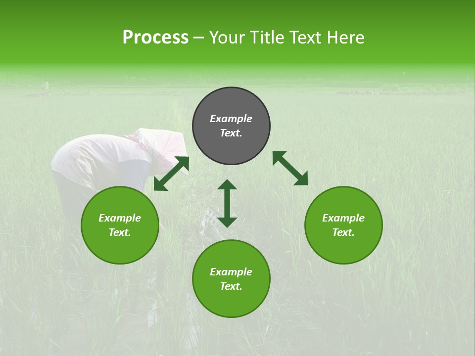 Food Countryside Farmer PowerPoint Template