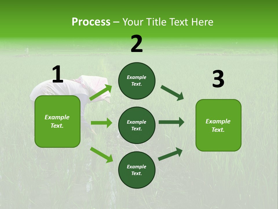Food Countryside Farmer PowerPoint Template