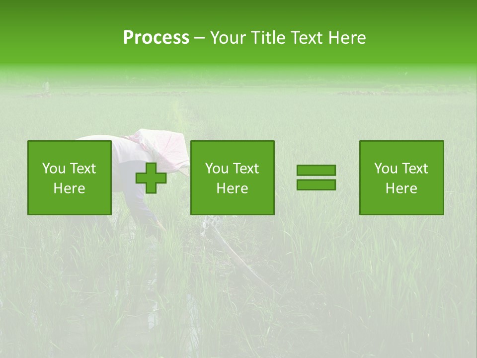 Food Countryside Farmer PowerPoint Template