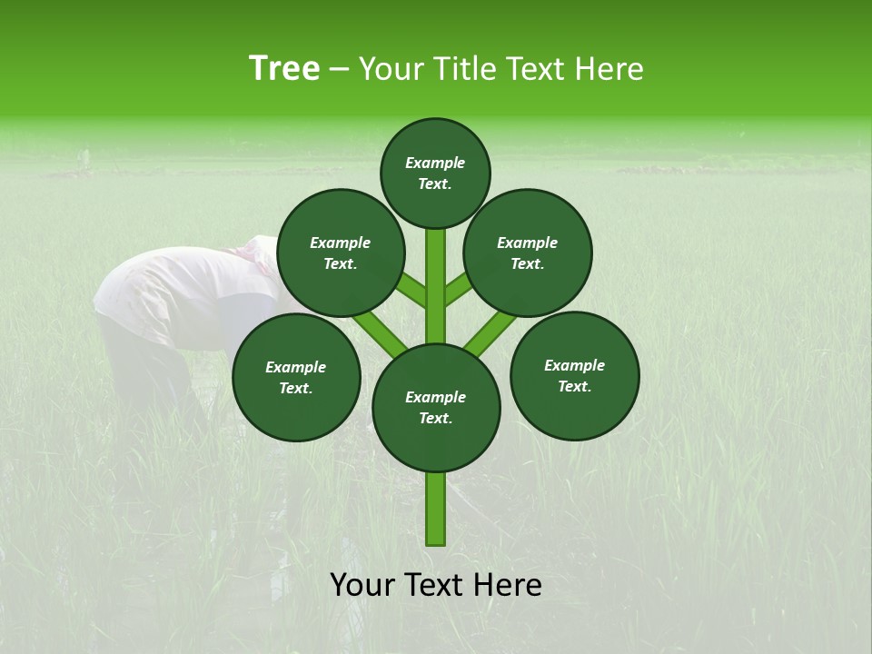 Food Countryside Farmer PowerPoint Template