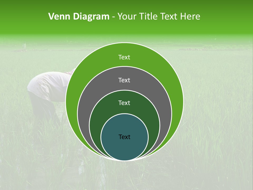 Food Countryside Farmer PowerPoint Template