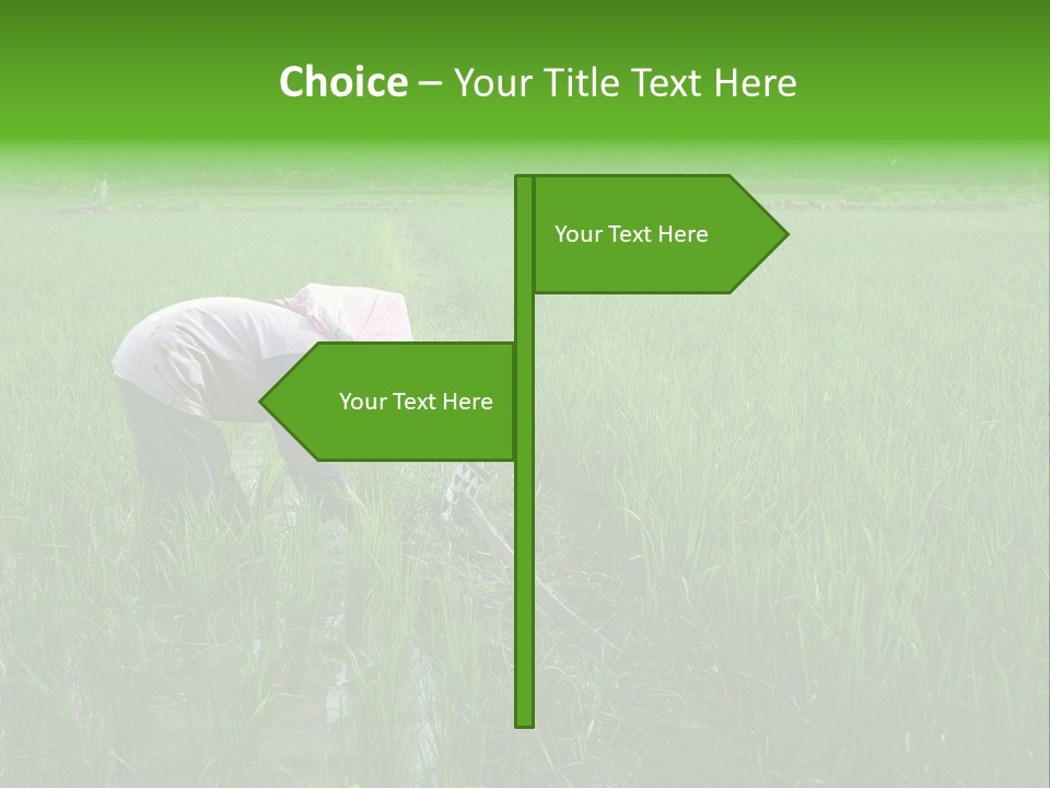 Food Countryside Farmer PowerPoint Template