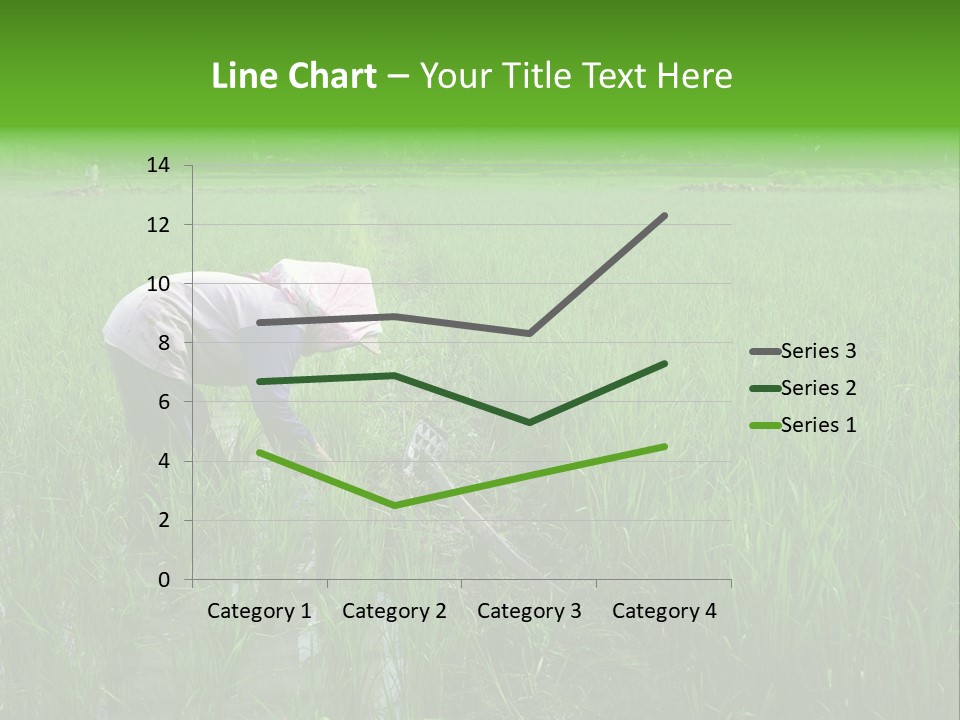 Food Countryside Farmer PowerPoint Template