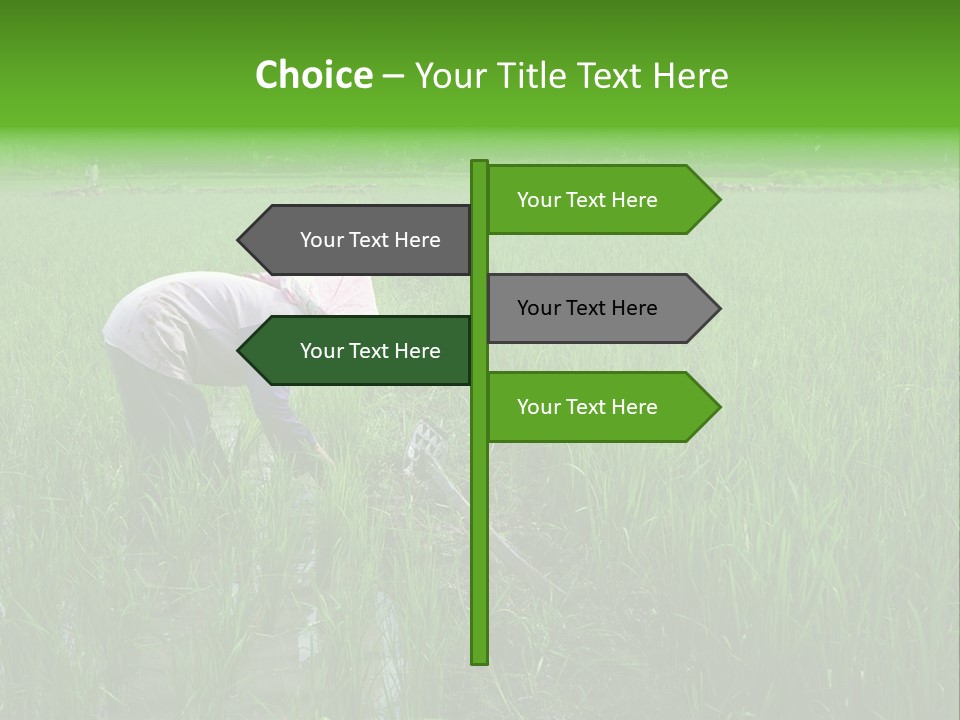 Food Countryside Farmer PowerPoint Template