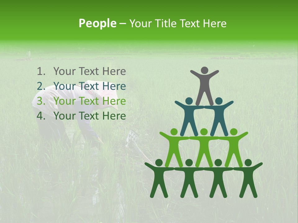 Food Countryside Farmer PowerPoint Template