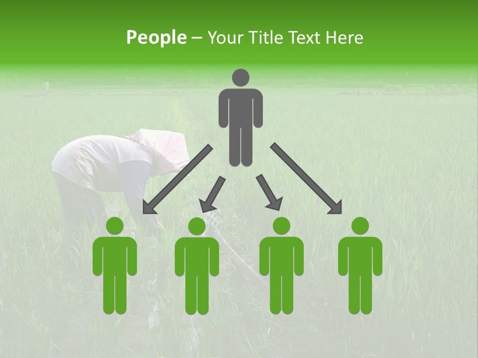 Food Countryside Farmer PowerPoint Template