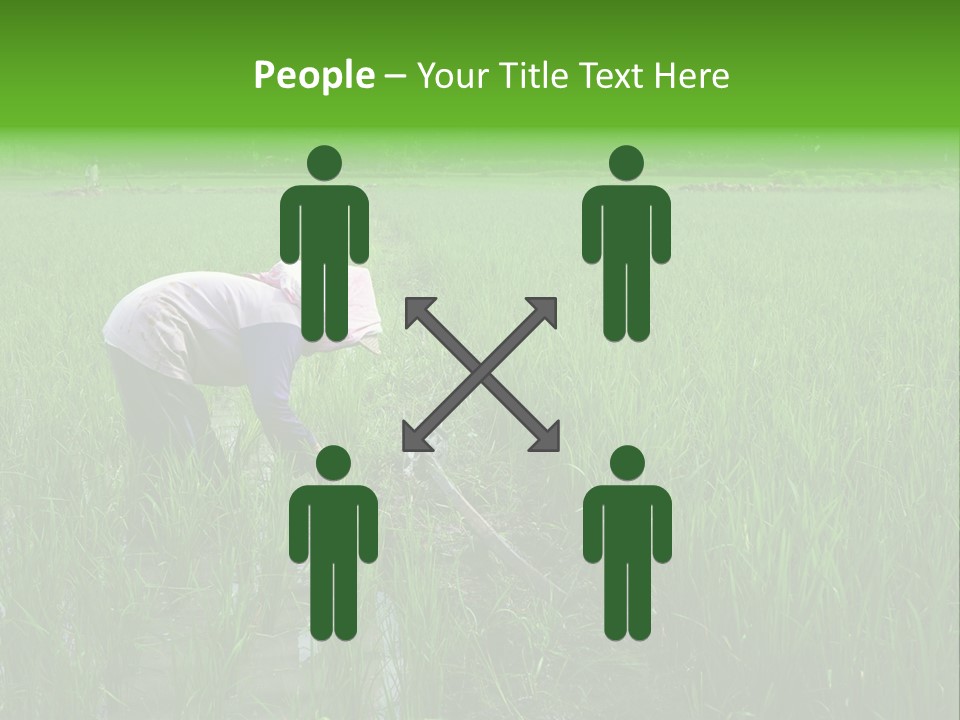 Food Countryside Farmer PowerPoint Template