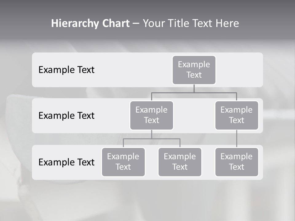 Rainy Rainwater Detail PowerPoint Template