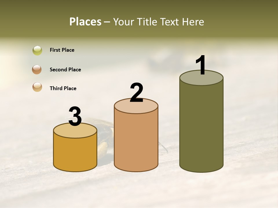 A Group Of Bees Sitting On Top Of A Wooden Table PowerPoint Template