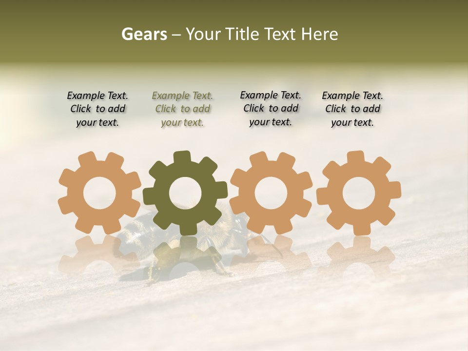 A Group Of Bees Sitting On Top Of A Wooden Table PowerPoint Template