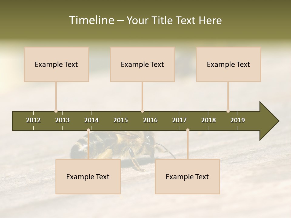 A Group Of Bees Sitting On Top Of A Wooden Table PowerPoint Template