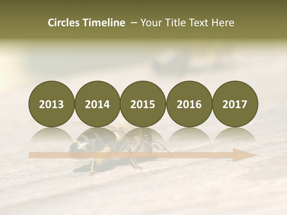 A Group Of Bees Sitting On Top Of A Wooden Table PowerPoint Template