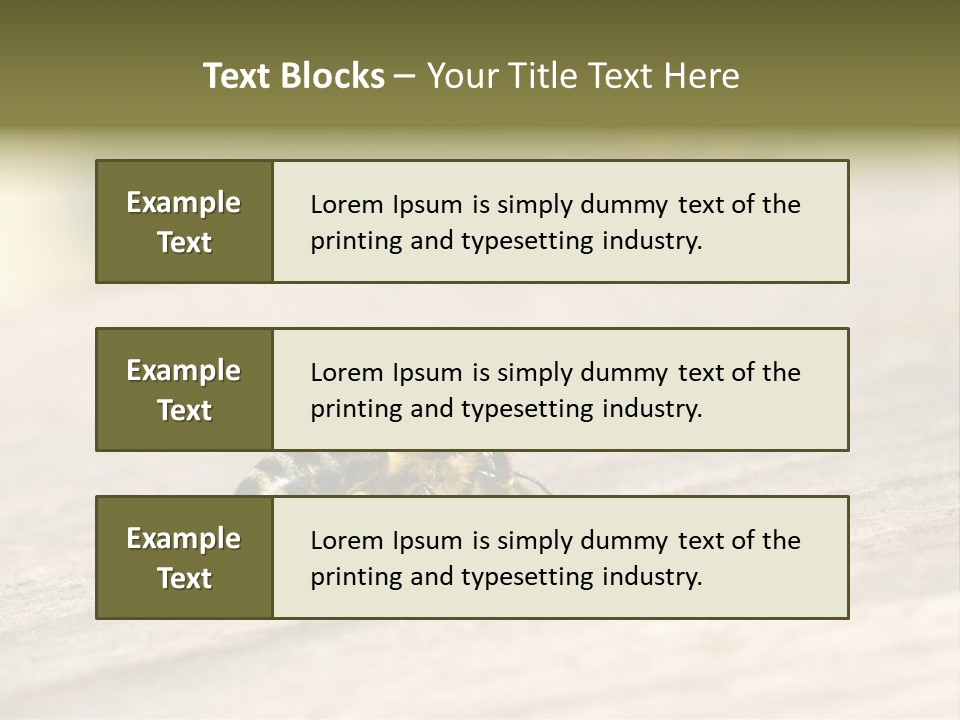 A Group Of Bees Sitting On Top Of A Wooden Table PowerPoint Template