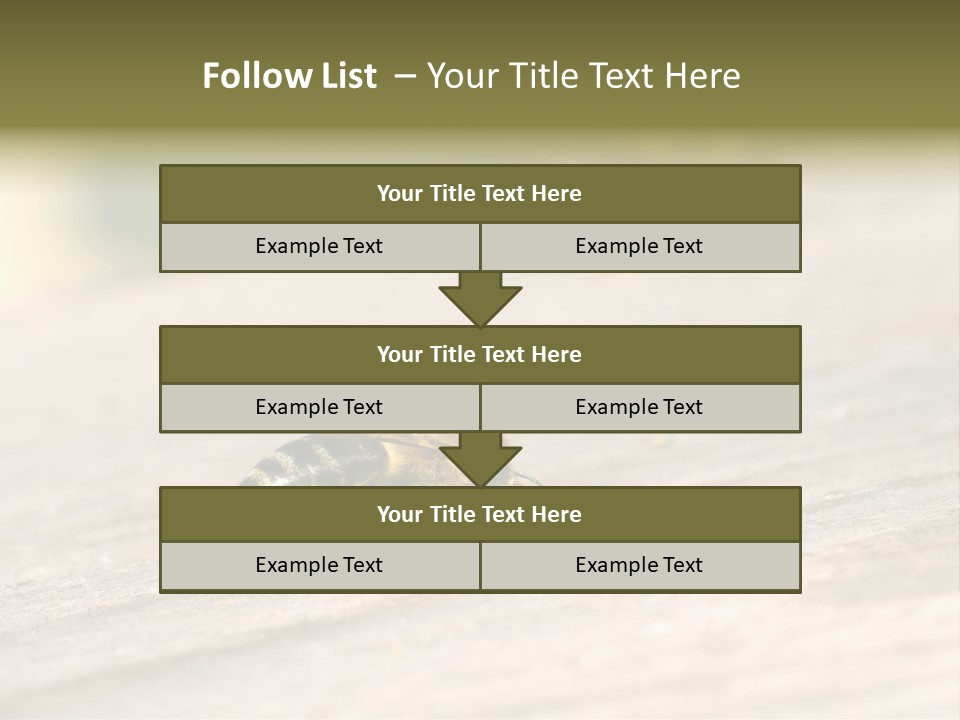 A Group Of Bees Sitting On Top Of A Wooden Table PowerPoint Template