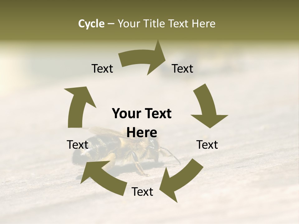 A Group Of Bees Sitting On Top Of A Wooden Table PowerPoint Template