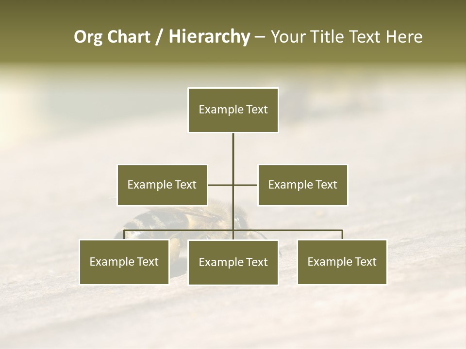 A Group Of Bees Sitting On Top Of A Wooden Table PowerPoint Template
