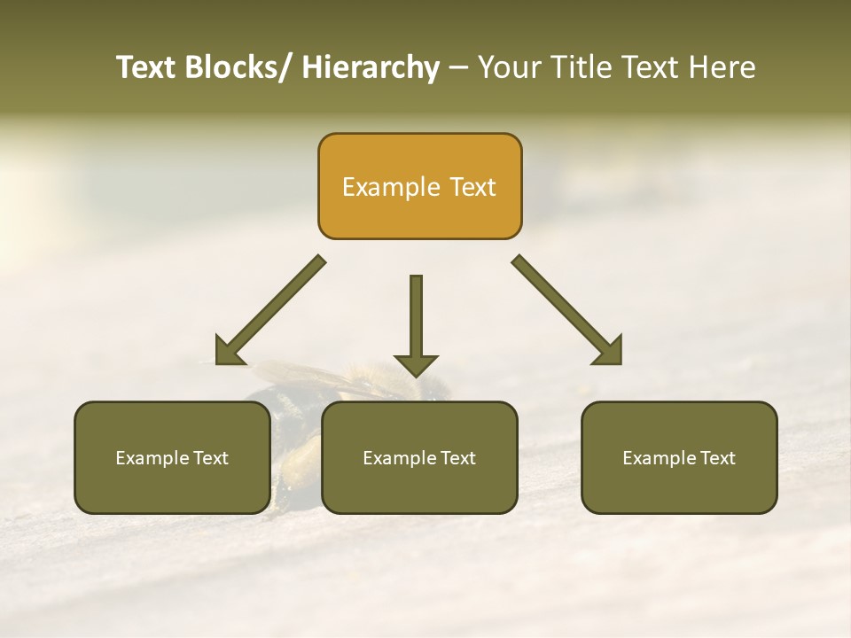 A Group Of Bees Sitting On Top Of A Wooden Table PowerPoint Template
