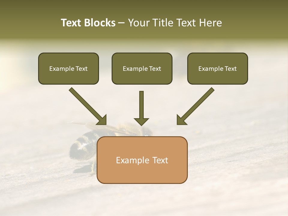 A Group Of Bees Sitting On Top Of A Wooden Table PowerPoint Template