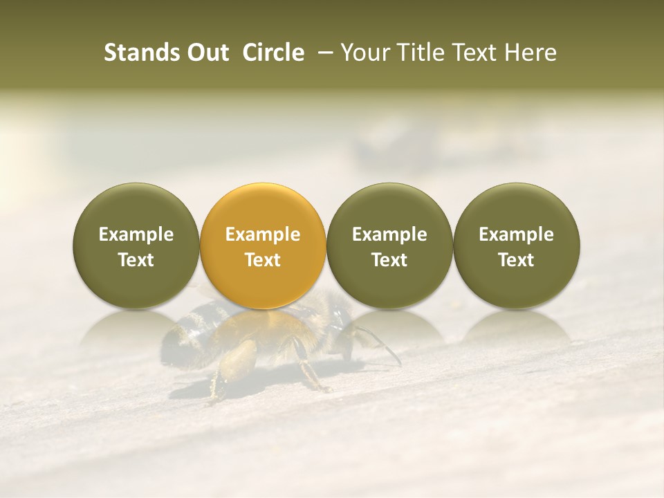 A Group Of Bees Sitting On Top Of A Wooden Table PowerPoint Template