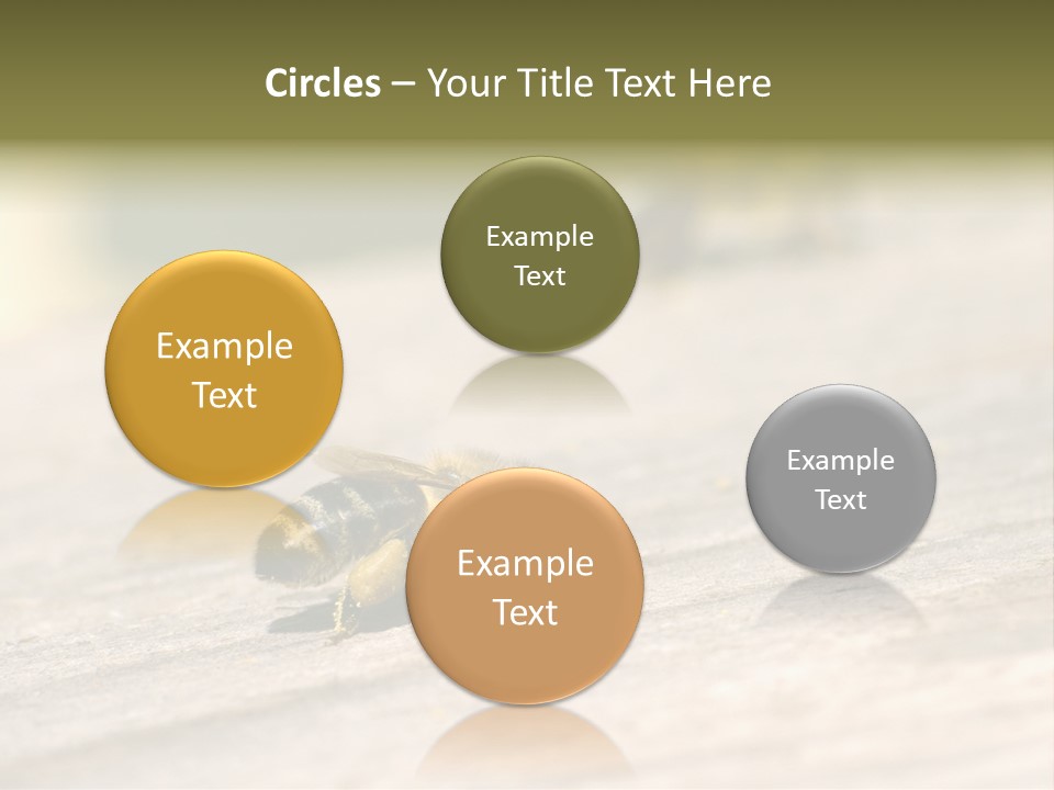 A Group Of Bees Sitting On Top Of A Wooden Table PowerPoint Template