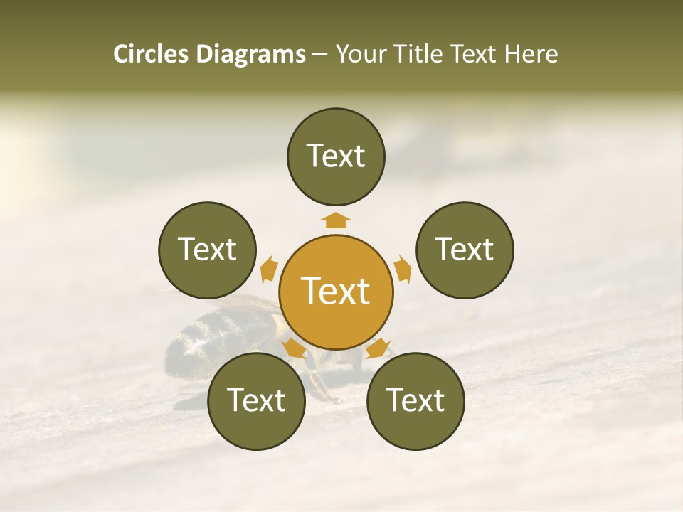 A Group Of Bees Sitting On Top Of A Wooden Table PowerPoint Template