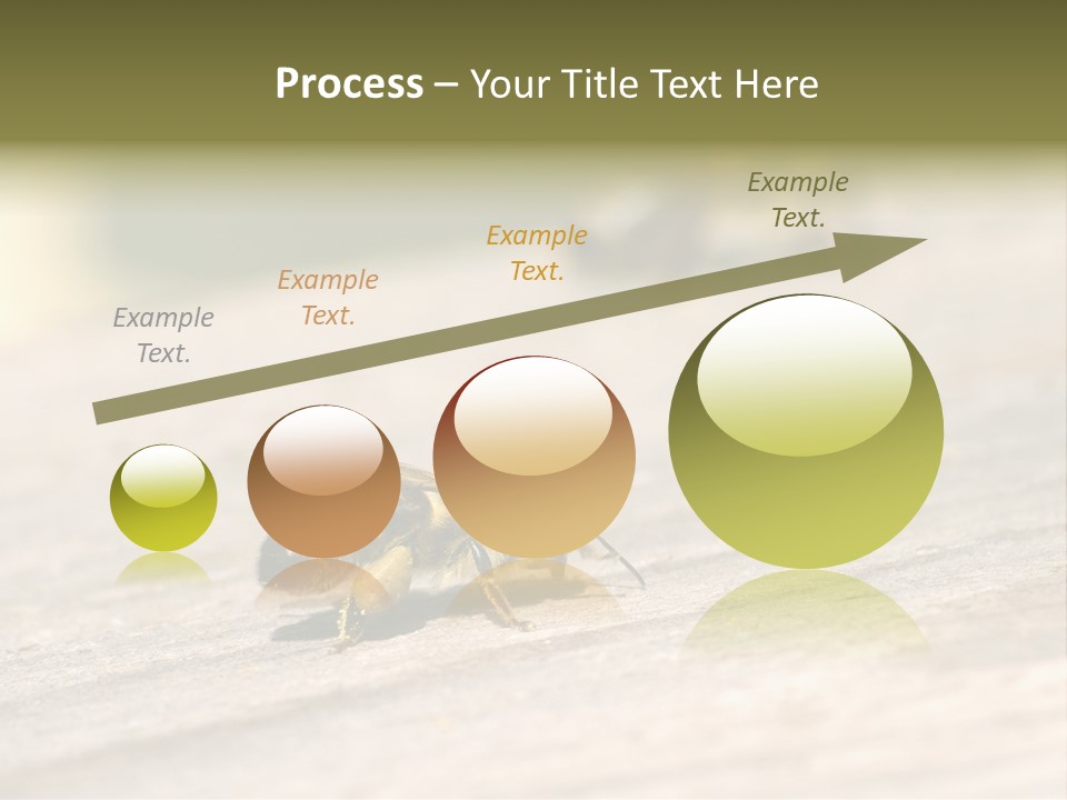 A Group Of Bees Sitting On Top Of A Wooden Table PowerPoint Template