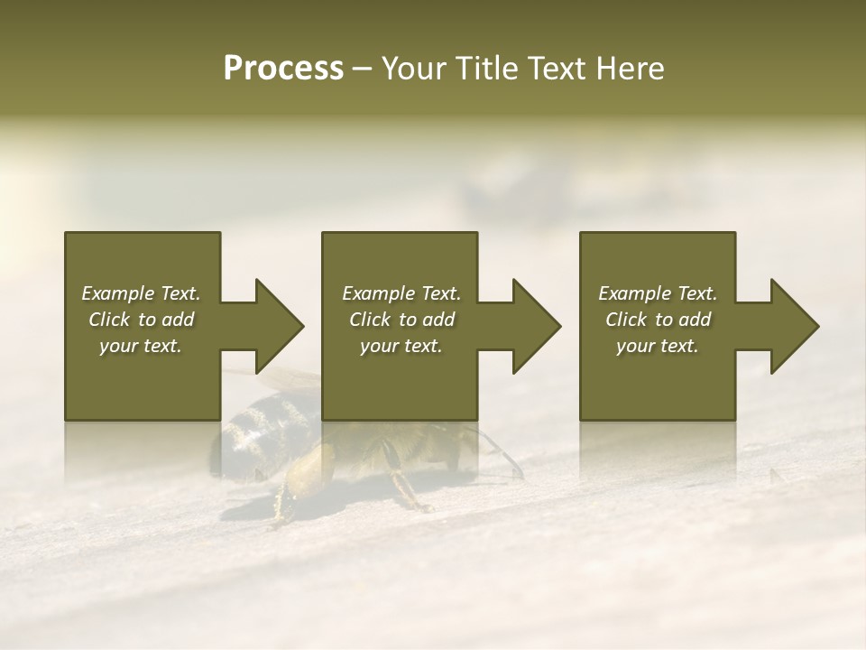 A Group Of Bees Sitting On Top Of A Wooden Table PowerPoint Template