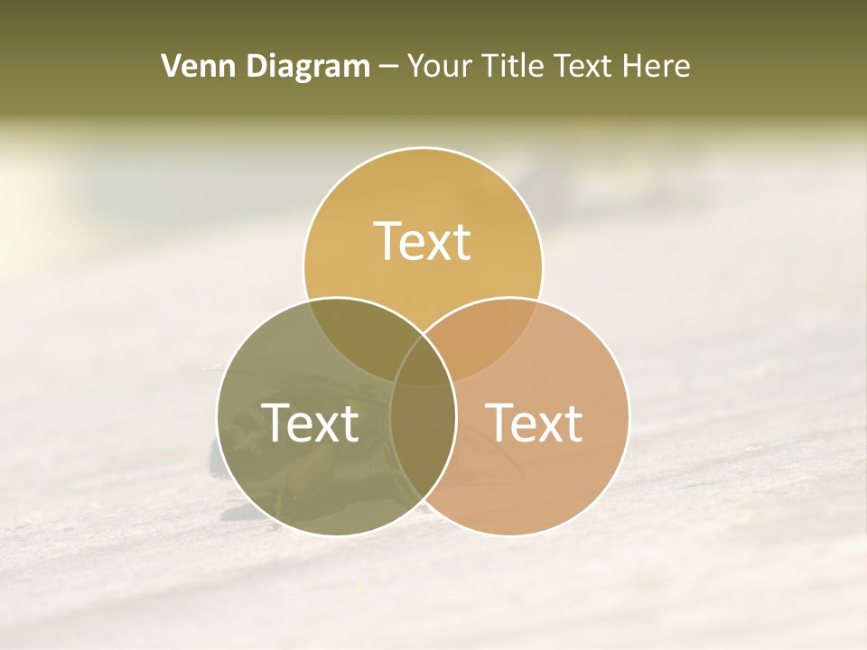 A Group Of Bees Sitting On Top Of A Wooden Table PowerPoint Template