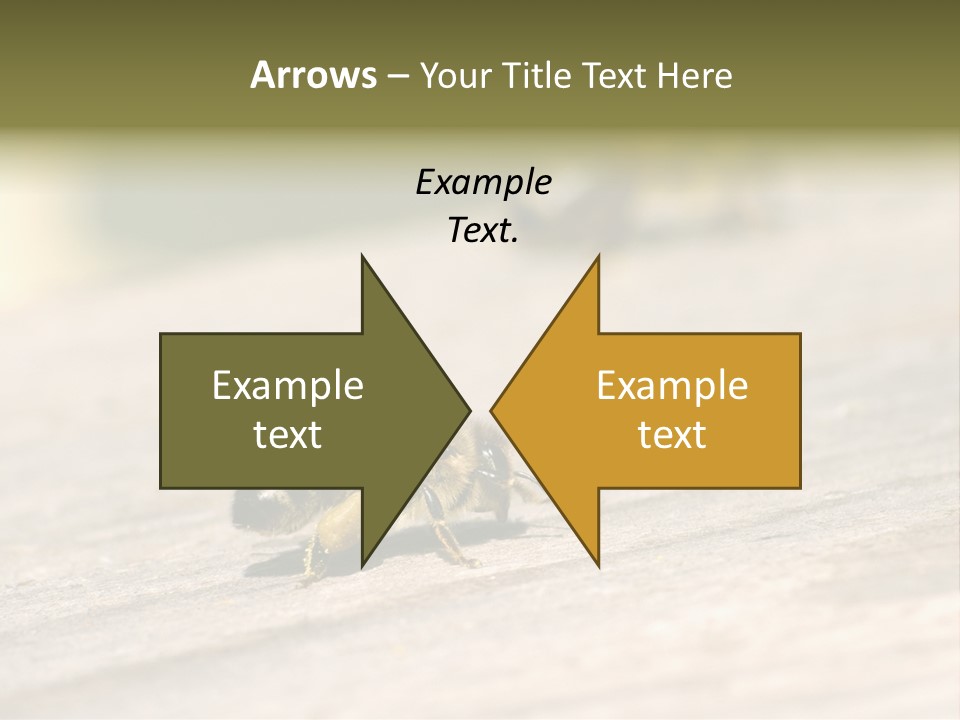 A Group Of Bees Sitting On Top Of A Wooden Table PowerPoint Template