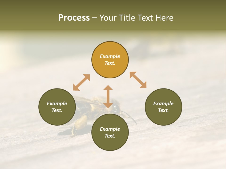 A Group Of Bees Sitting On Top Of A Wooden Table PowerPoint Template