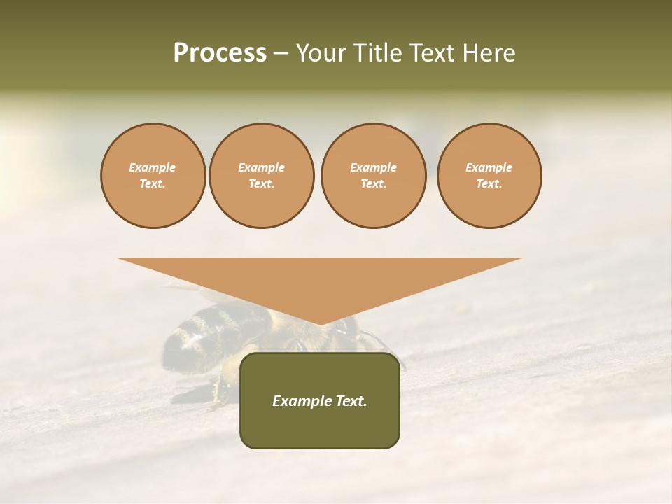 A Group Of Bees Sitting On Top Of A Wooden Table PowerPoint Template