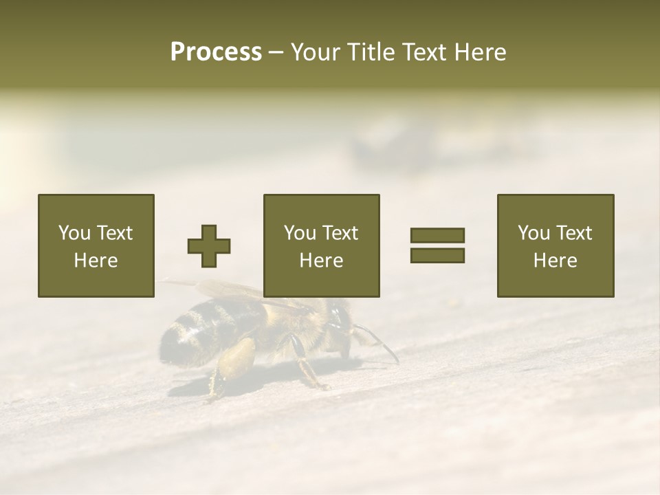 A Group Of Bees Sitting On Top Of A Wooden Table PowerPoint Template