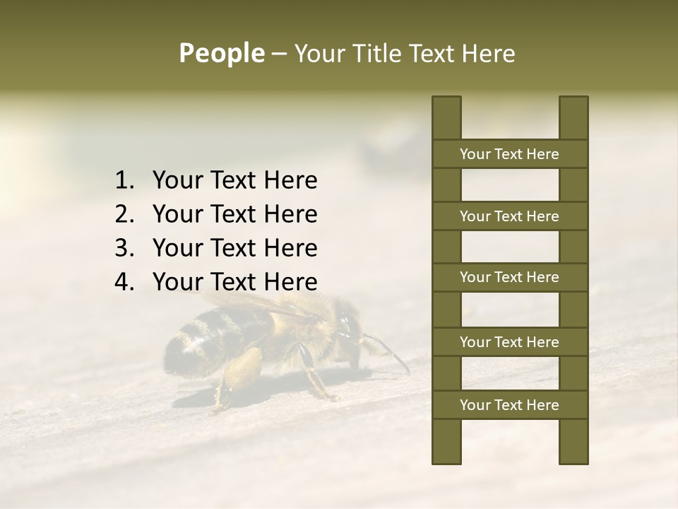 A Group Of Bees Sitting On Top Of A Wooden Table PowerPoint Template