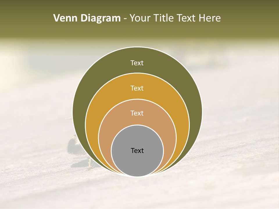 A Group Of Bees Sitting On Top Of A Wooden Table PowerPoint Template