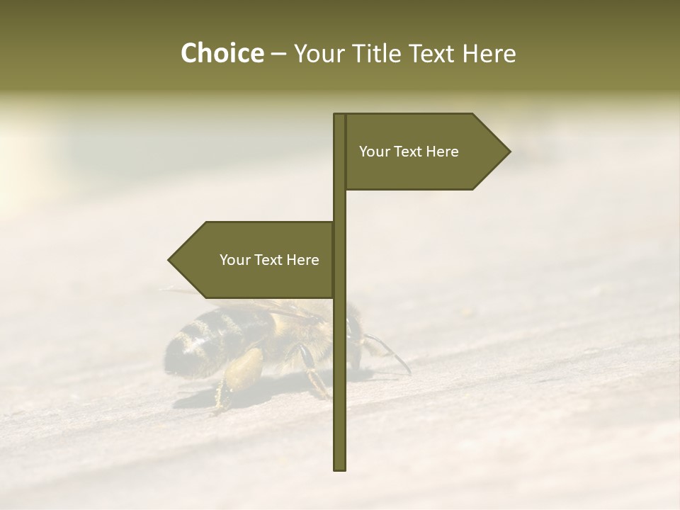 A Group Of Bees Sitting On Top Of A Wooden Table PowerPoint Template