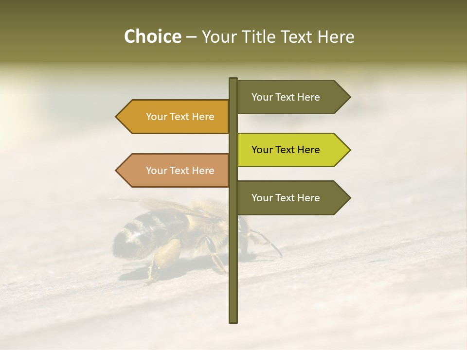 A Group Of Bees Sitting On Top Of A Wooden Table PowerPoint Template