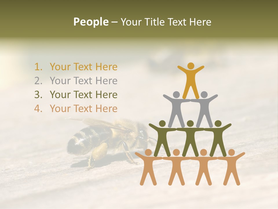 A Group Of Bees Sitting On Top Of A Wooden Table PowerPoint Template