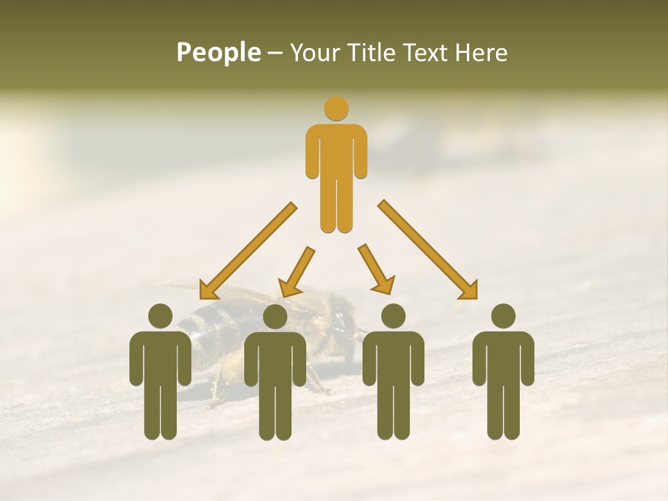 A Group Of Bees Sitting On Top Of A Wooden Table PowerPoint Template