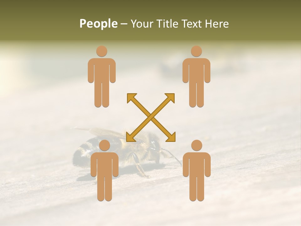 A Group Of Bees Sitting On Top Of A Wooden Table PowerPoint Template