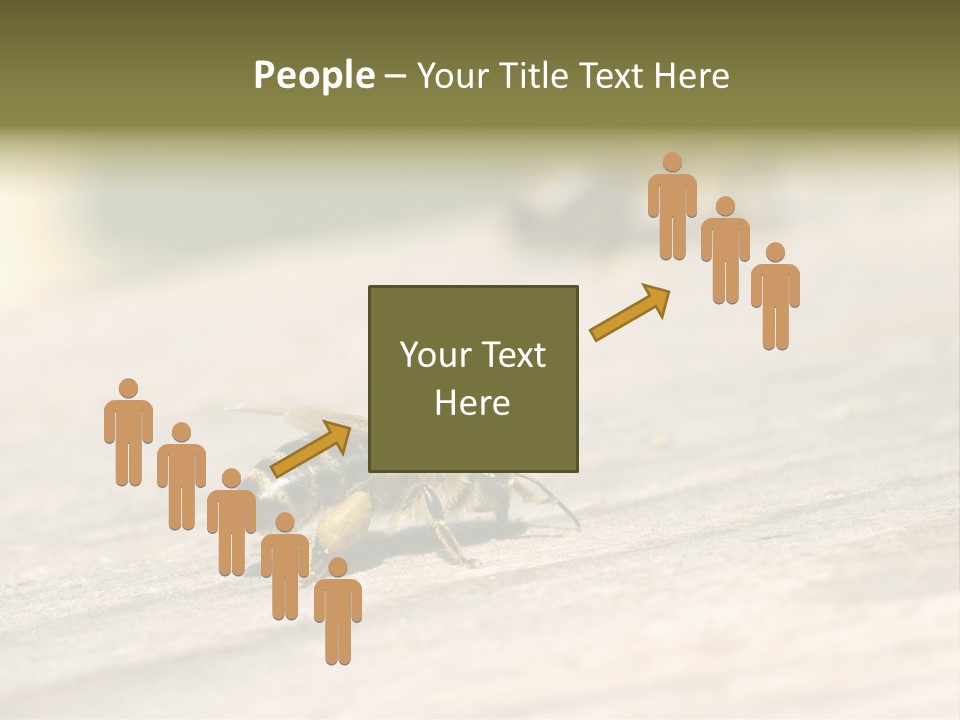 A Group Of Bees Sitting On Top Of A Wooden Table PowerPoint Template