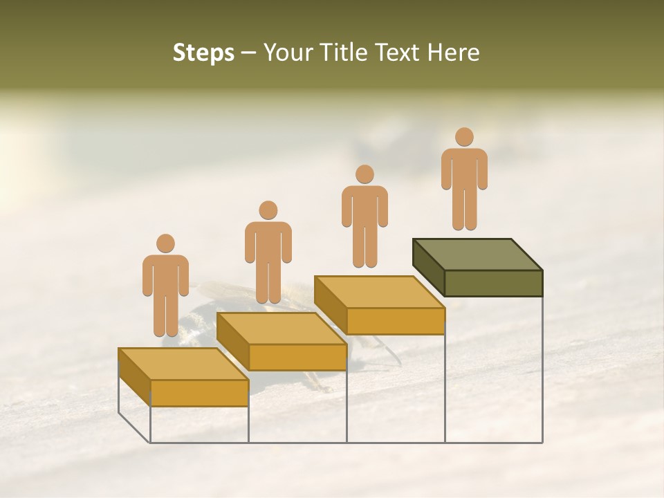 A Group Of Bees Sitting On Top Of A Wooden Table PowerPoint Template