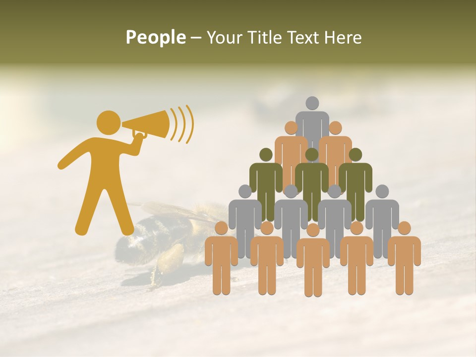 A Group Of Bees Sitting On Top Of A Wooden Table PowerPoint Template