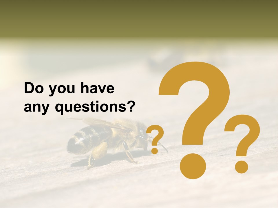 A Group Of Bees Sitting On Top Of A Wooden Table PowerPoint Template