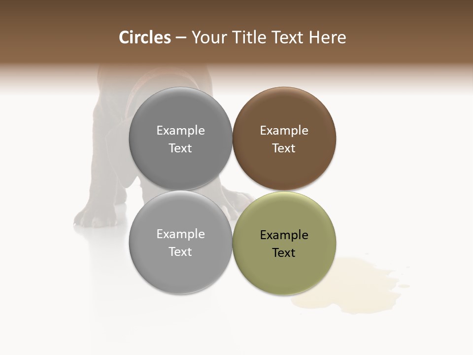 Isolated Potty Pet PowerPoint Template