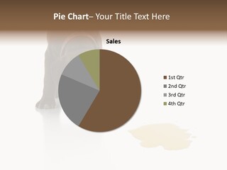 Isolated Potty Pet PowerPoint Template