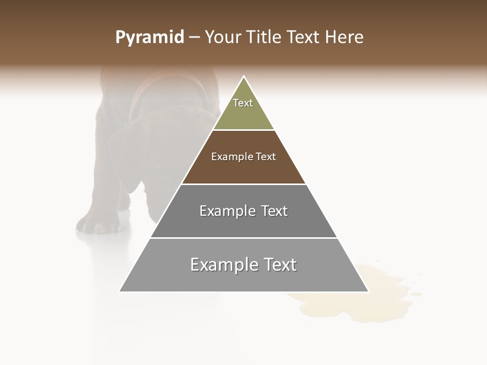 Isolated Potty Pet PowerPoint Template