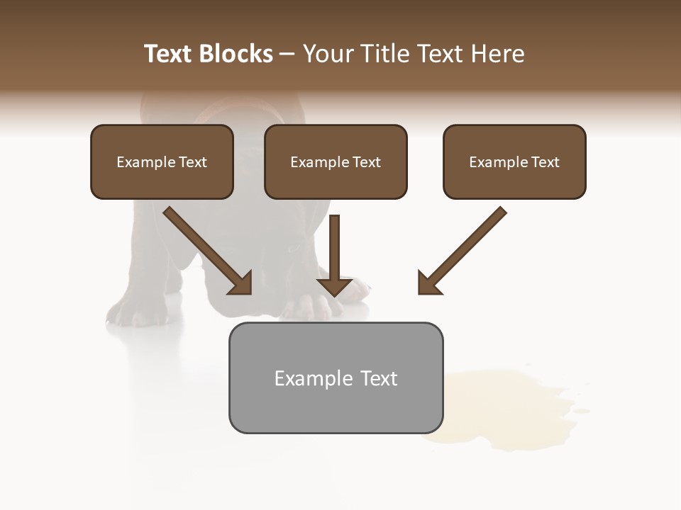 Isolated Potty Pet PowerPoint Template