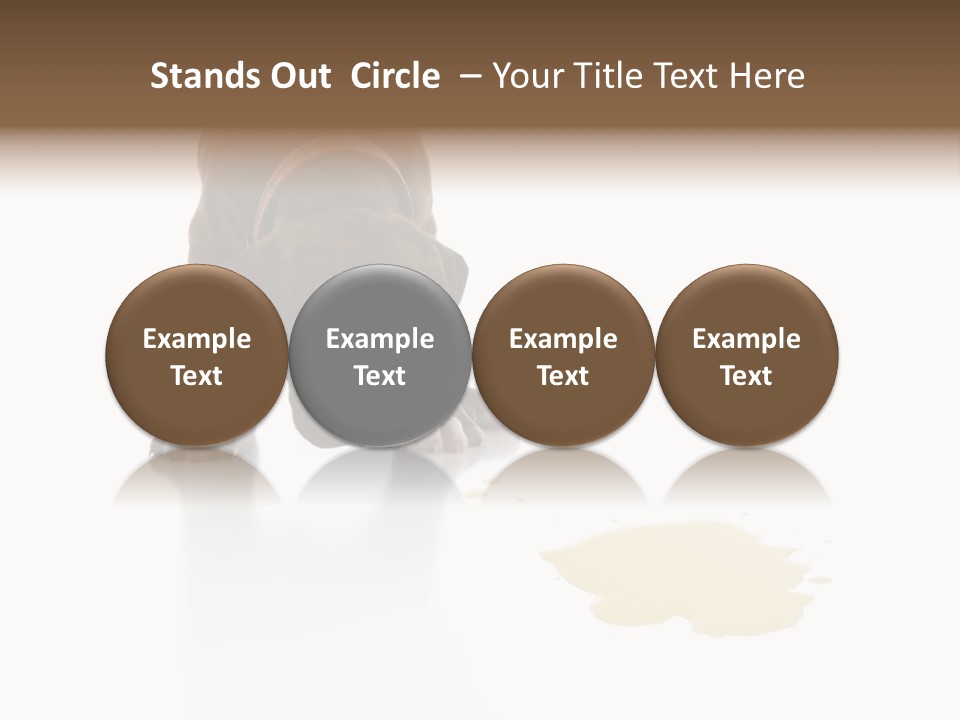 Isolated Potty Pet PowerPoint Template