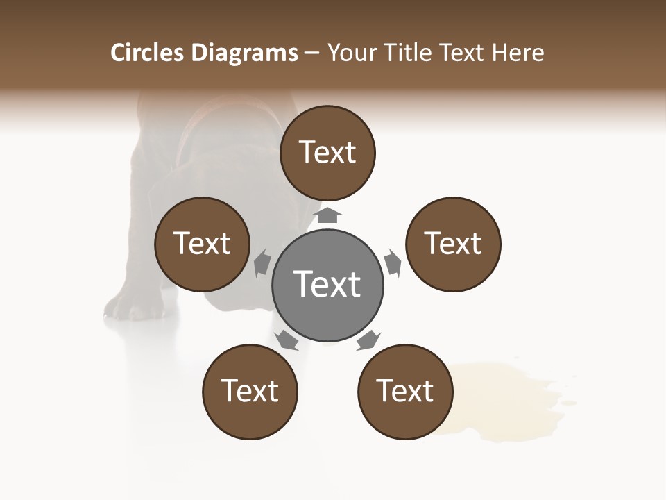 Isolated Potty Pet PowerPoint Template